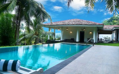 Dive In Style: Choosing the Perfect Finish for Your Pool